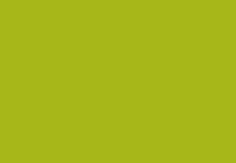 O ESTADO DE CALAMIDADE E SUAS POSSÍVEIS CONSEQUÊNCIAS